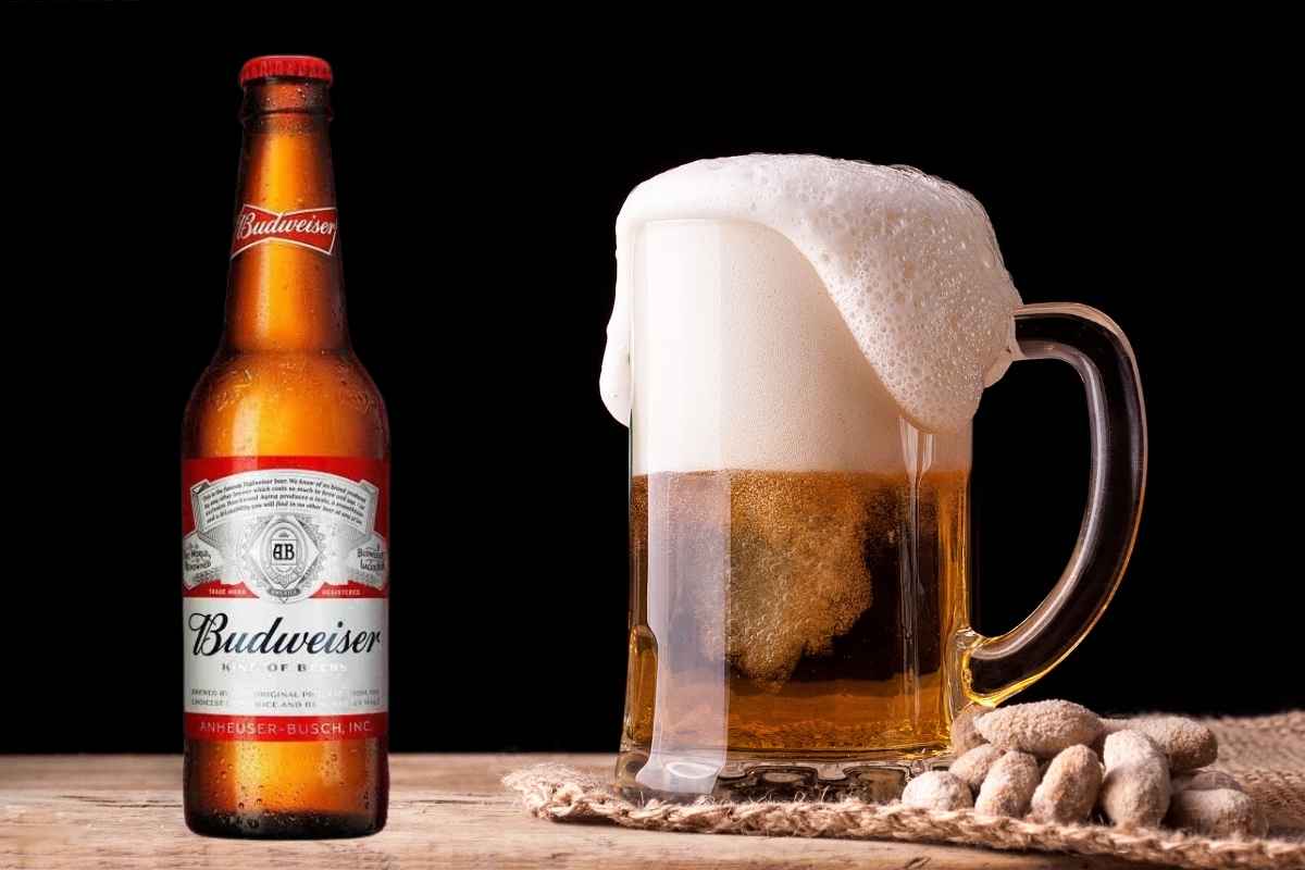 Budweiser Beer Price​, (Updated Price 2025) 330ml, 650ml, 1L in India