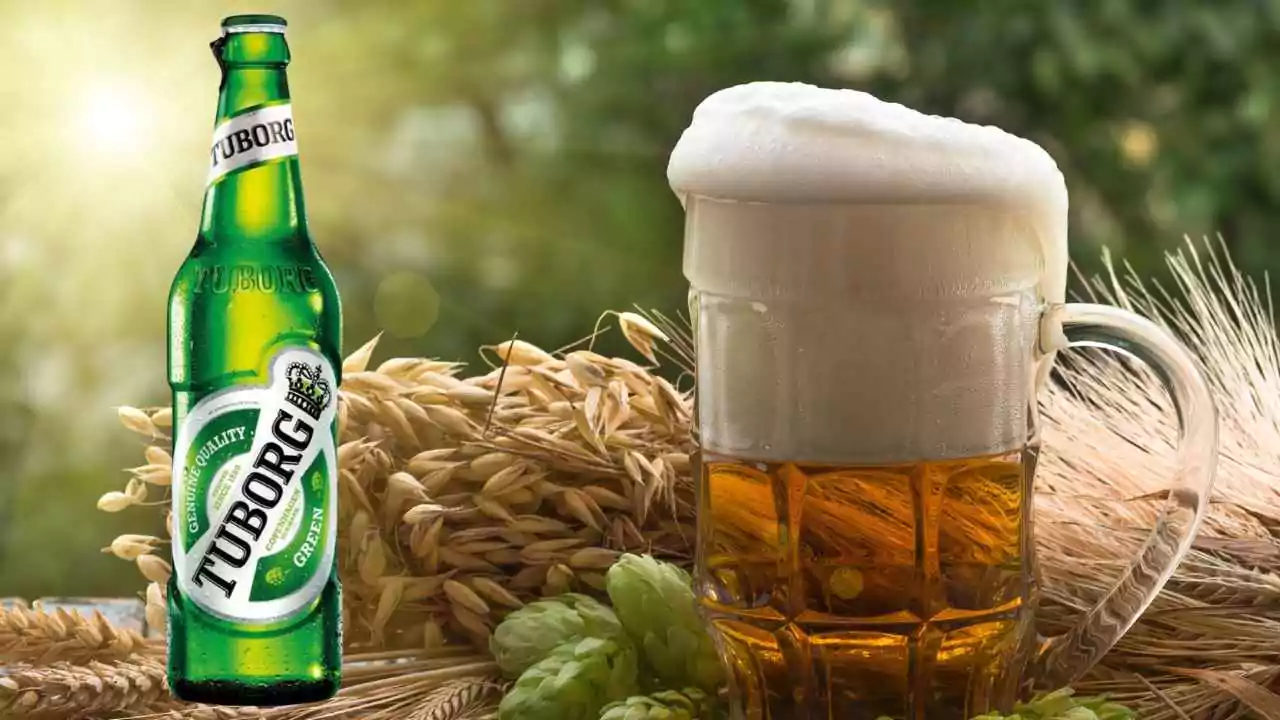 Tuborg Beer Prices 2025 Across India, Find Your City’s Best Deals on 330ml, 500ml, and 650ml Bottles, Can