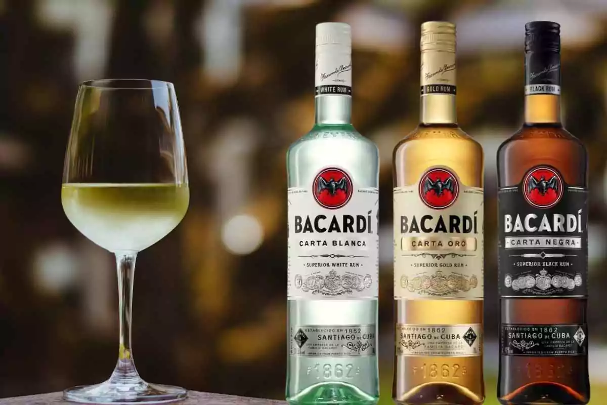 Bacardi Rum